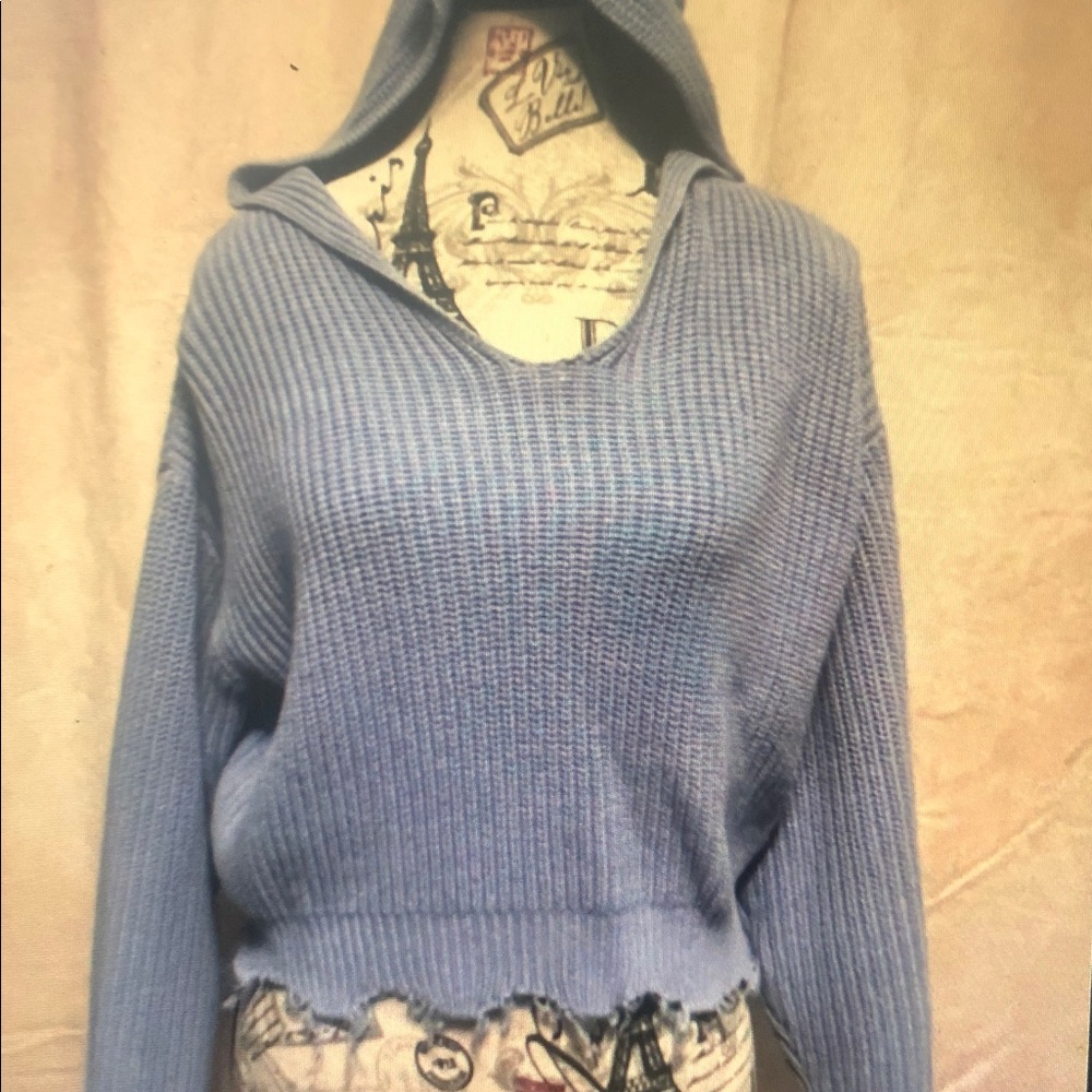 Forever 21 Light Blue Ribbed Hooded Cropped Sweater